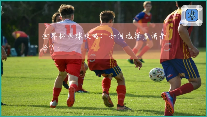 世界杯买球攻略：如何选择靠谱平台？