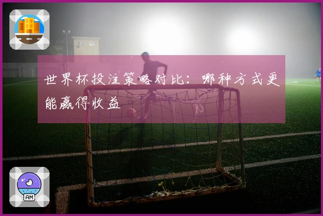 世界杯投注策略对比：哪种方式更能赢得收益