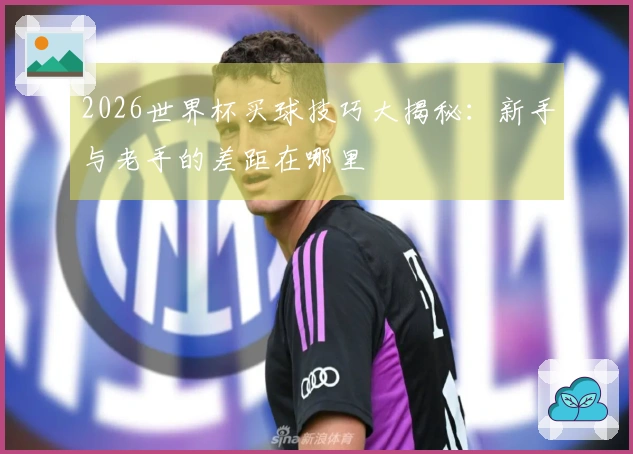 2026世界杯买球技巧大揭秘：新手与老手的差距在哪里