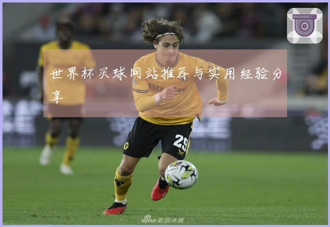 世界杯买球网站推荐与实用经验分享