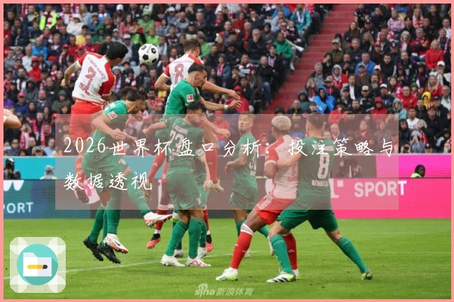2026世界杯盘口分析：投注策略与数据透视