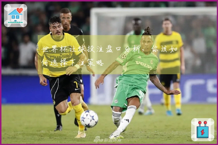 世界杯让球投注盘口分析,你该如何选择下注策略