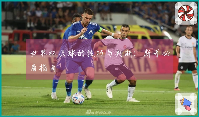 世界杯买球的技巧与判断：新手必看指南