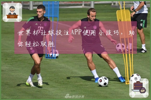 世界杯让球投注APP使用小技巧，助你轻松取胜
