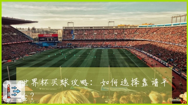 世界杯买球攻略：如何选择靠谱平台？
