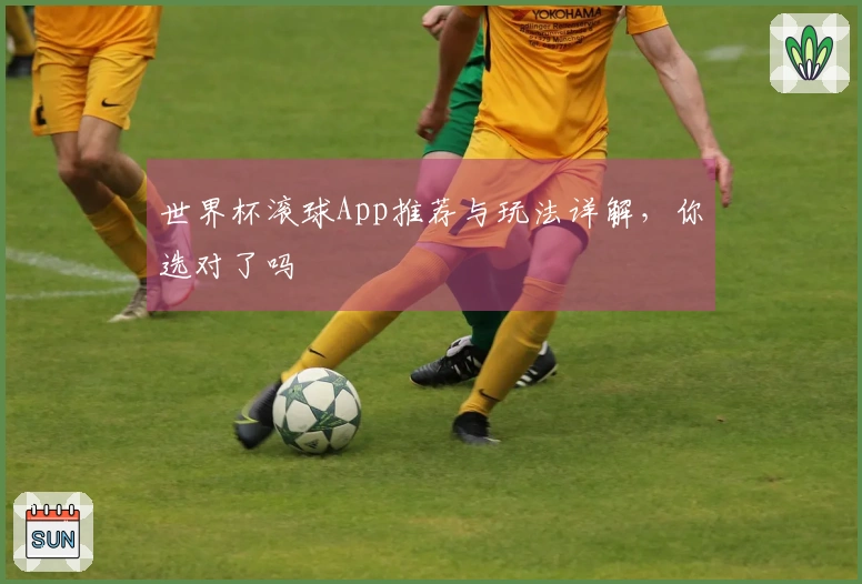 世界杯滚球App推荐与玩法详解，你选对了吗