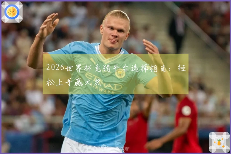 2026世界杯竞猜平台选择指南，轻松上手赢大奖
