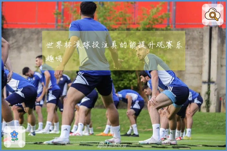 世界杯滚球投注真的能提升观赛乐趣吗