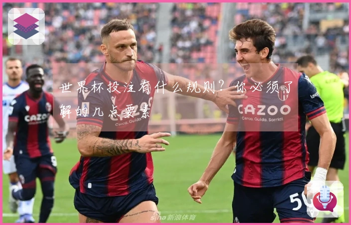 世界杯投注有什么规则？你必须了解的几点要素