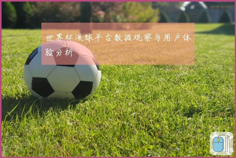 世界杯滚球平台数据观察与用户体验分析