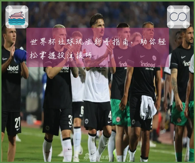 世界杯让球玩法新手指南，助你轻松掌握投注技巧